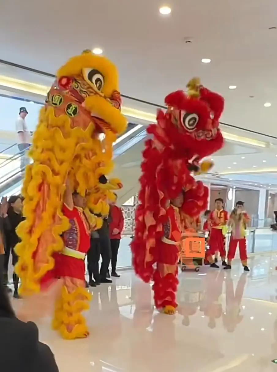 传统水袖舞狮比赛，文化盛宴里的运动魅力的简单介绍