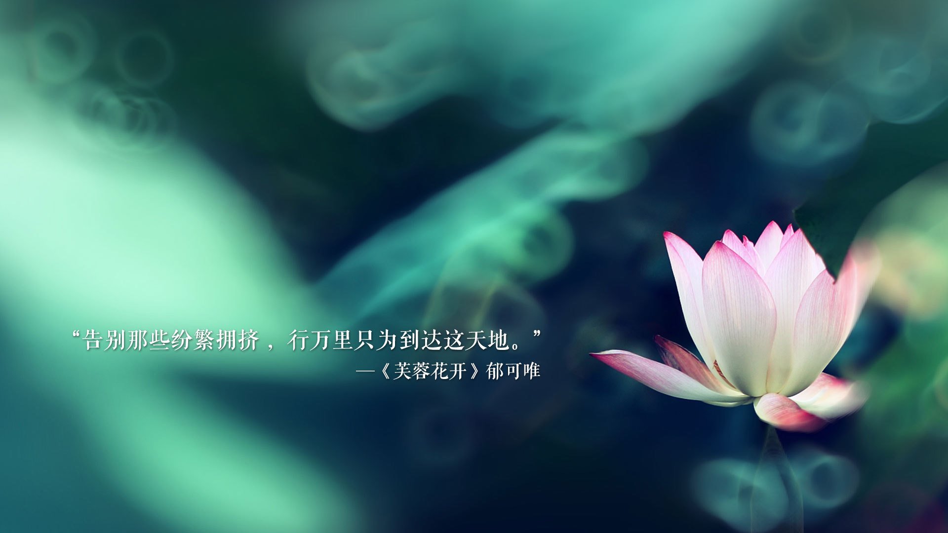 _老虎般的猛龙，鏖战到底笑到最后_，迅猛的老虎