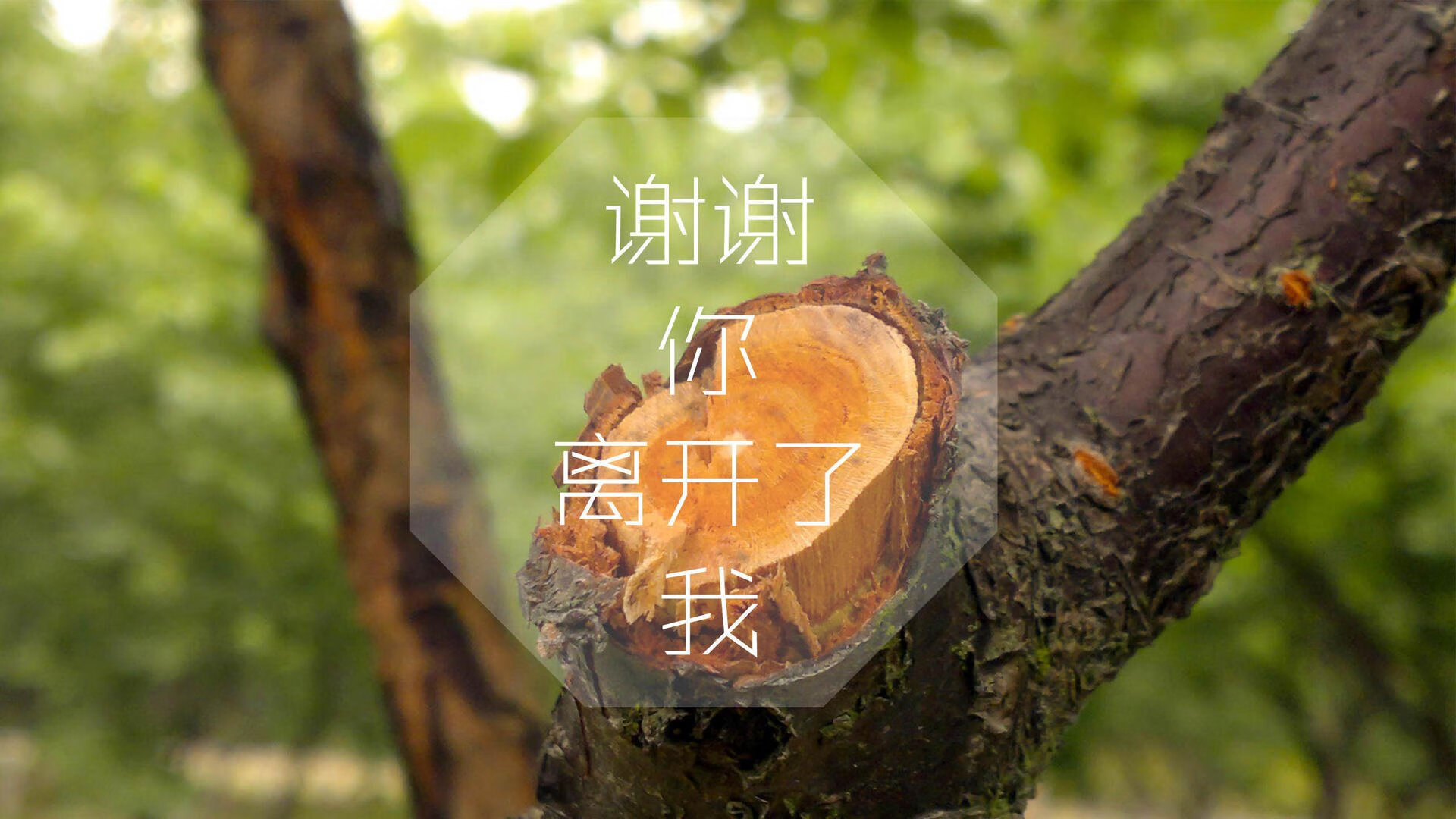 德赢vwin平台-塞内加尔男足在巴黎奥运会上表现出色，赢得银牌，塞内加尔足协