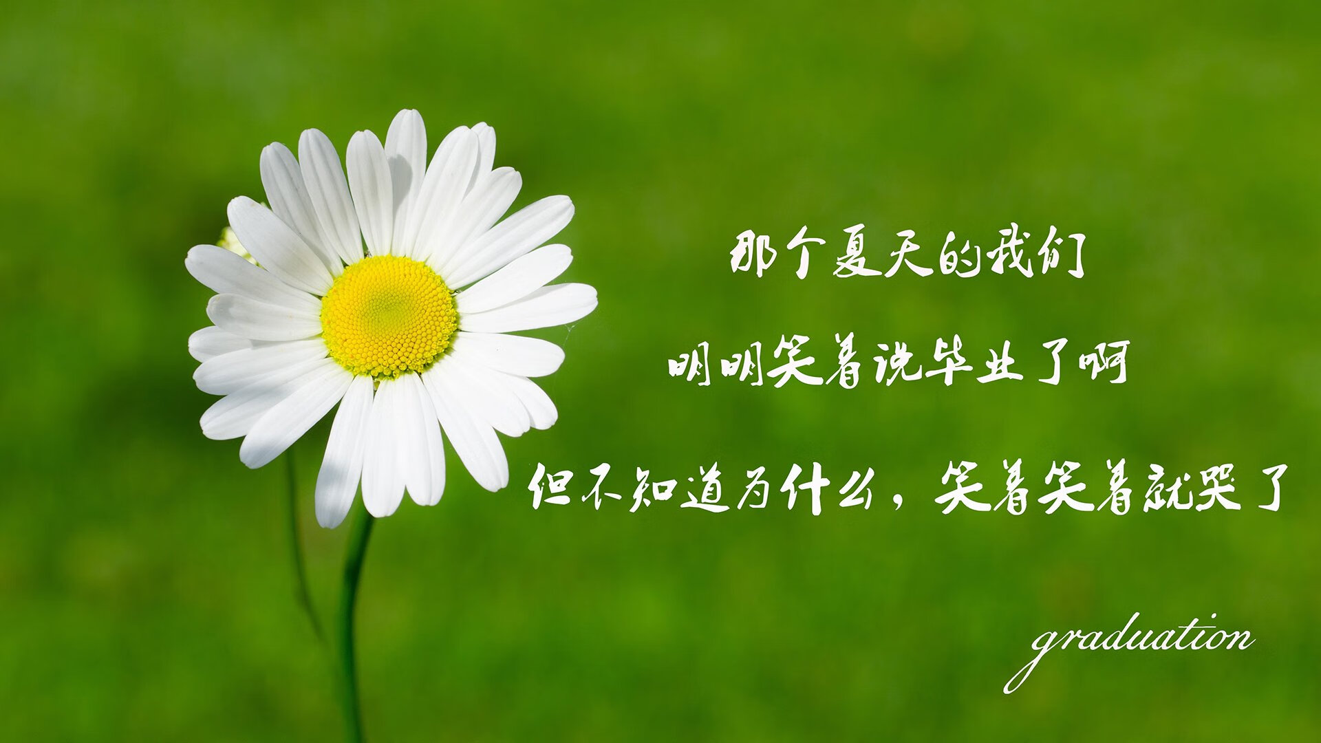 瑞典队表现抢眼！欧洲杯预选赛领先他人一步！，瑞典欧洲杯比赛分析