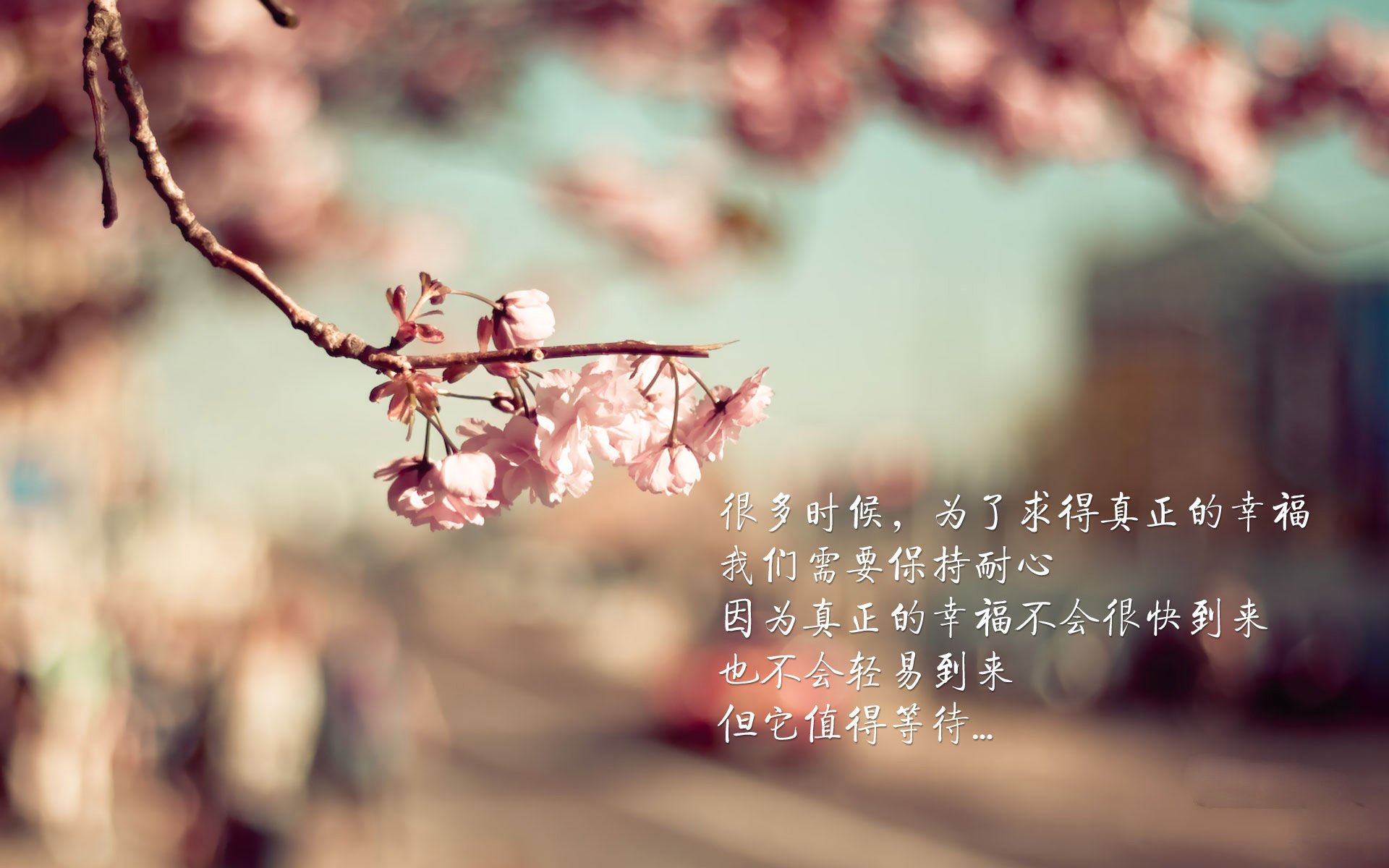 德赢vwin首页-里昂冲击联赛前列，里昂队主场