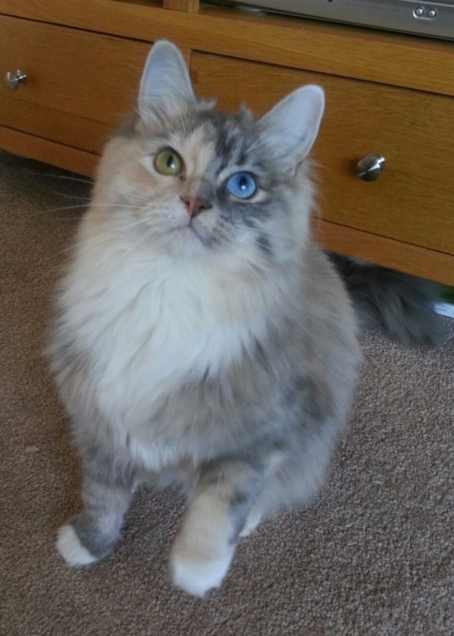 德赢体育官网-体育公益活动社会认知提升，体育的社会公益性活动