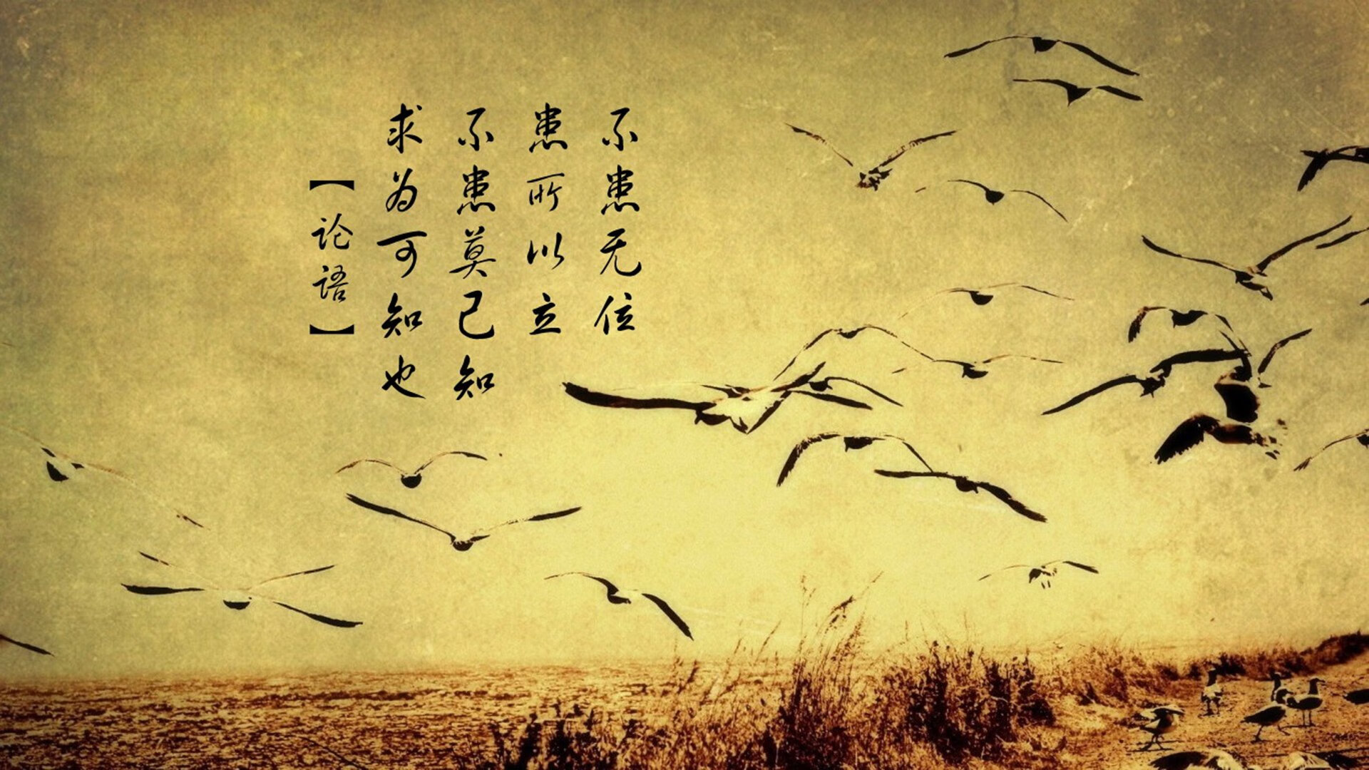 全民健身日活动组织成效与社会影响力分析,全民健身活动形式