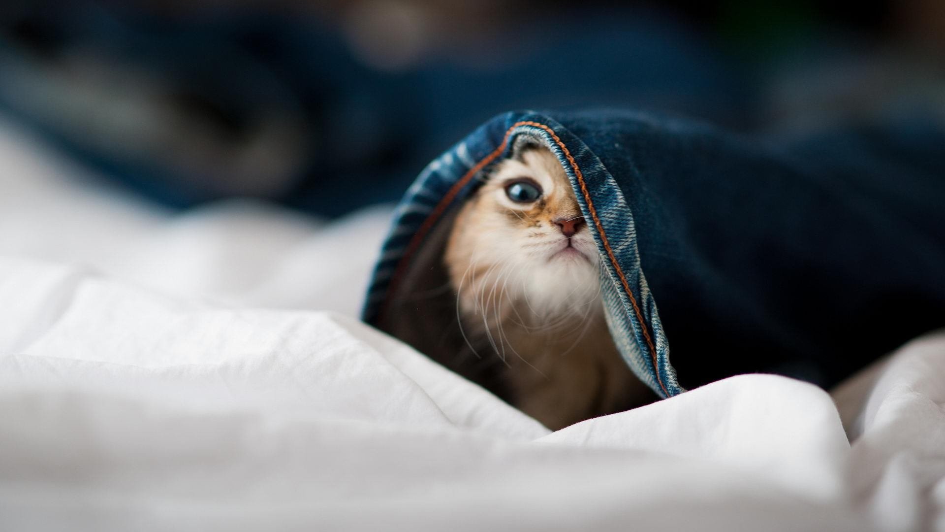 国足球队失球时间段集中分析,中国足球失去主场