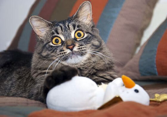 德赢体育app下载安装-CBA球队集体南下拉练 适应高温训练挑战，cba下面的联赛