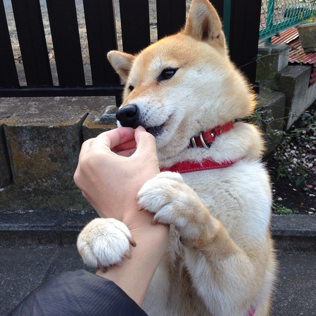 中国女篮积极提升投篮命中率,中国女篮积极提升投篮命中率视频