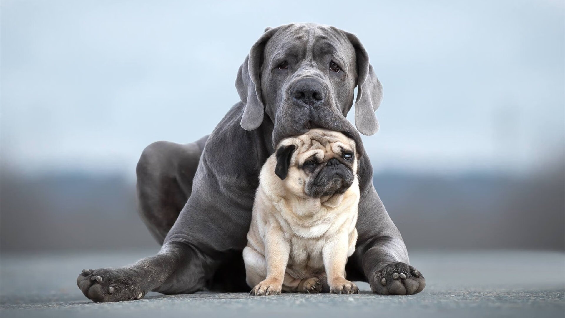 德赢官网登录入口官网-外援政策变动频繁影响俱乐部稳定，球队外援