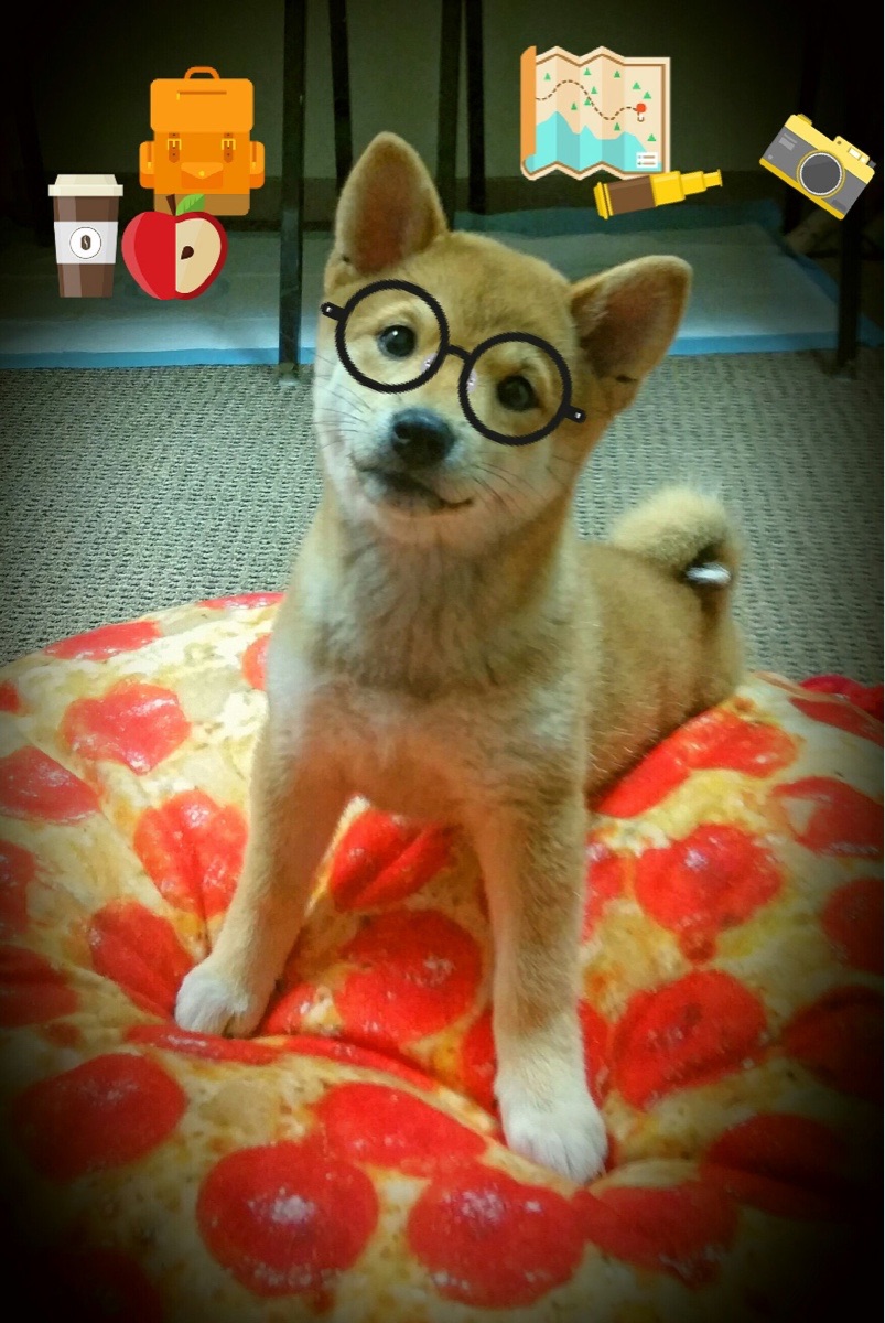 拜仁通过“战术角球”创造关键进球机会