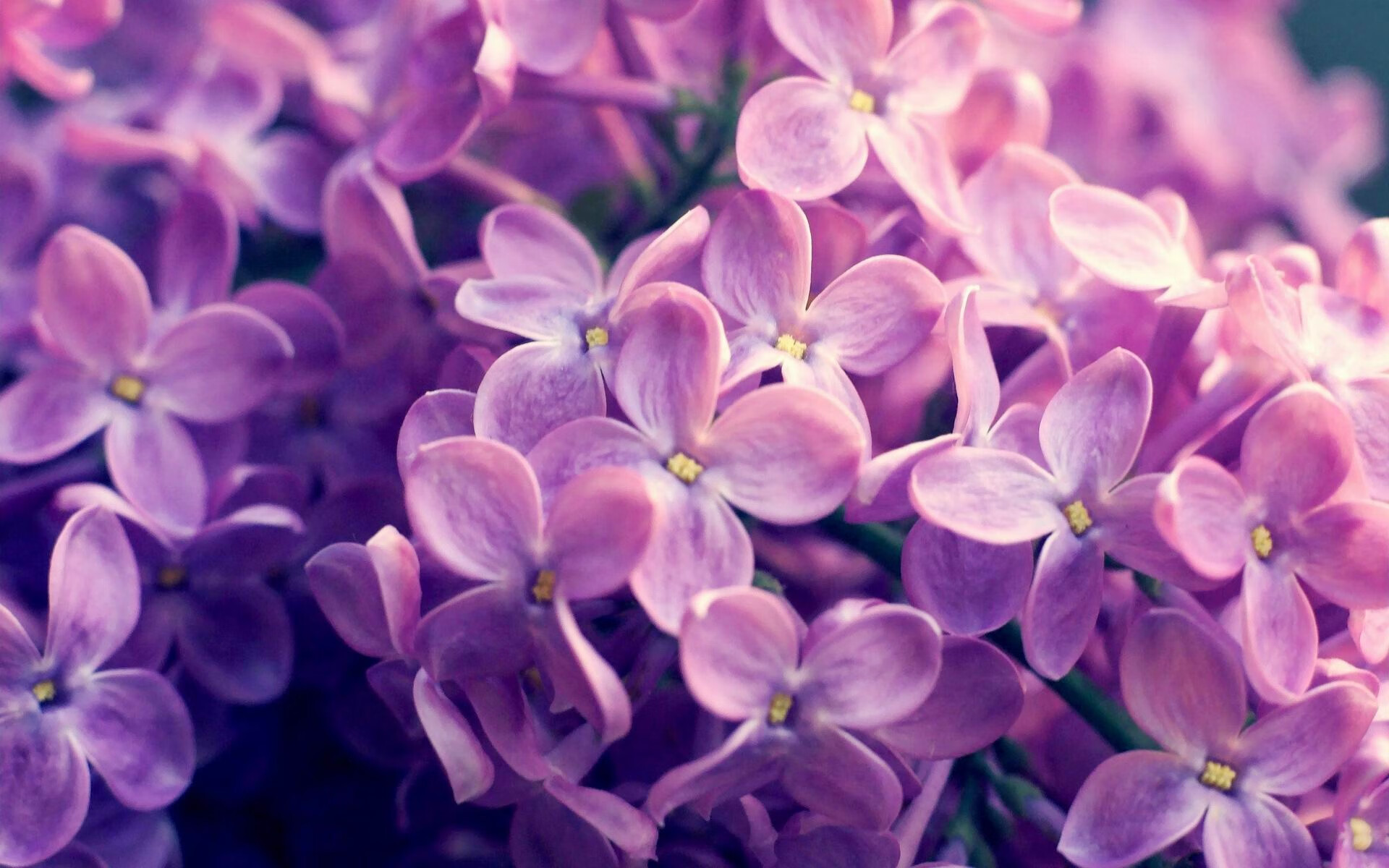 德赢体育官网入口-国家篮球训练中心升级完工配备最新智能训练设备系统，国家队篮球训练基地