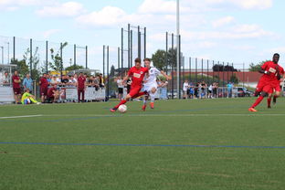 德赢官网登录入口官网-未来足球运动场将实现环保材料全覆盖，绿色发展理念深入人心，室外足球场的运营方案