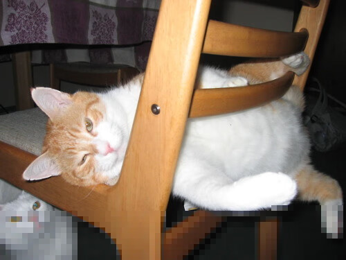 德赢体育官网-皮特·斯图斯：多次关键抢断让南非防线保持压倒性优势，皮特温特斯坦