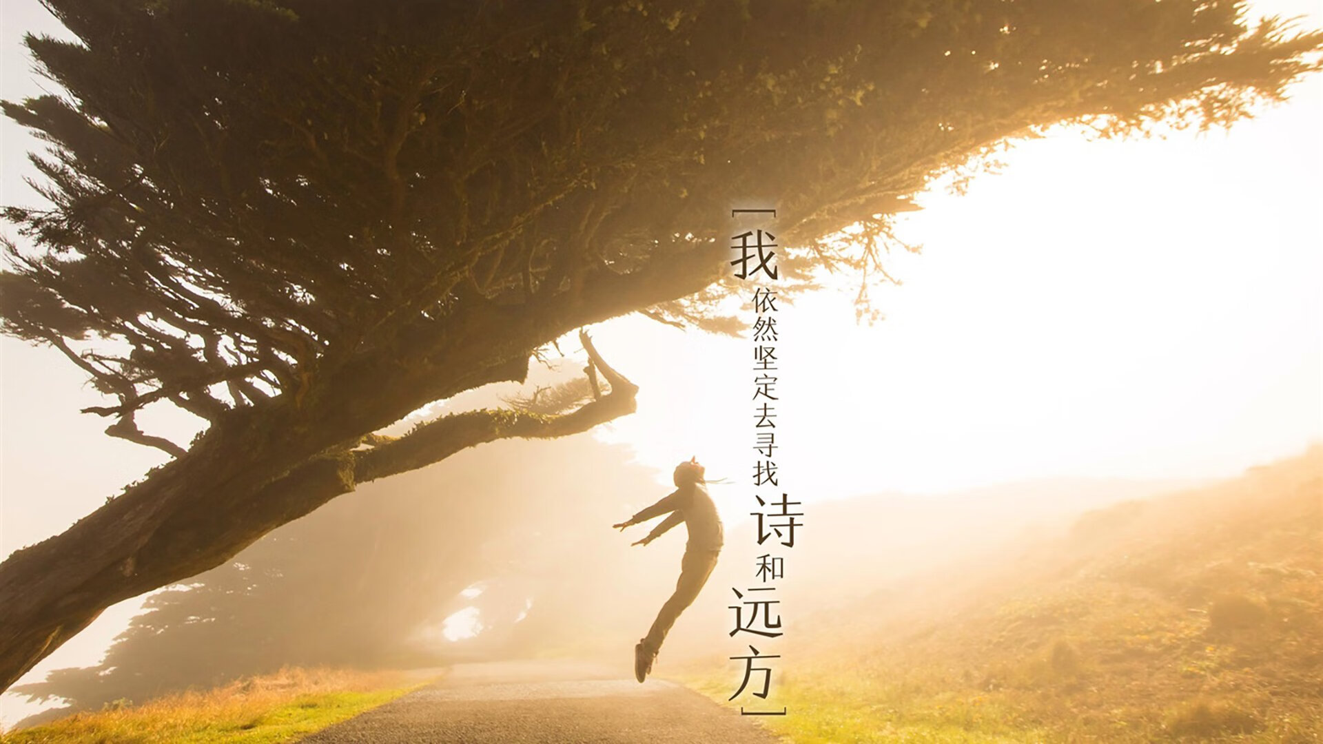 美洲杯明星众多:精彩表现,惊艳全场!,美洲杯有哪些明星