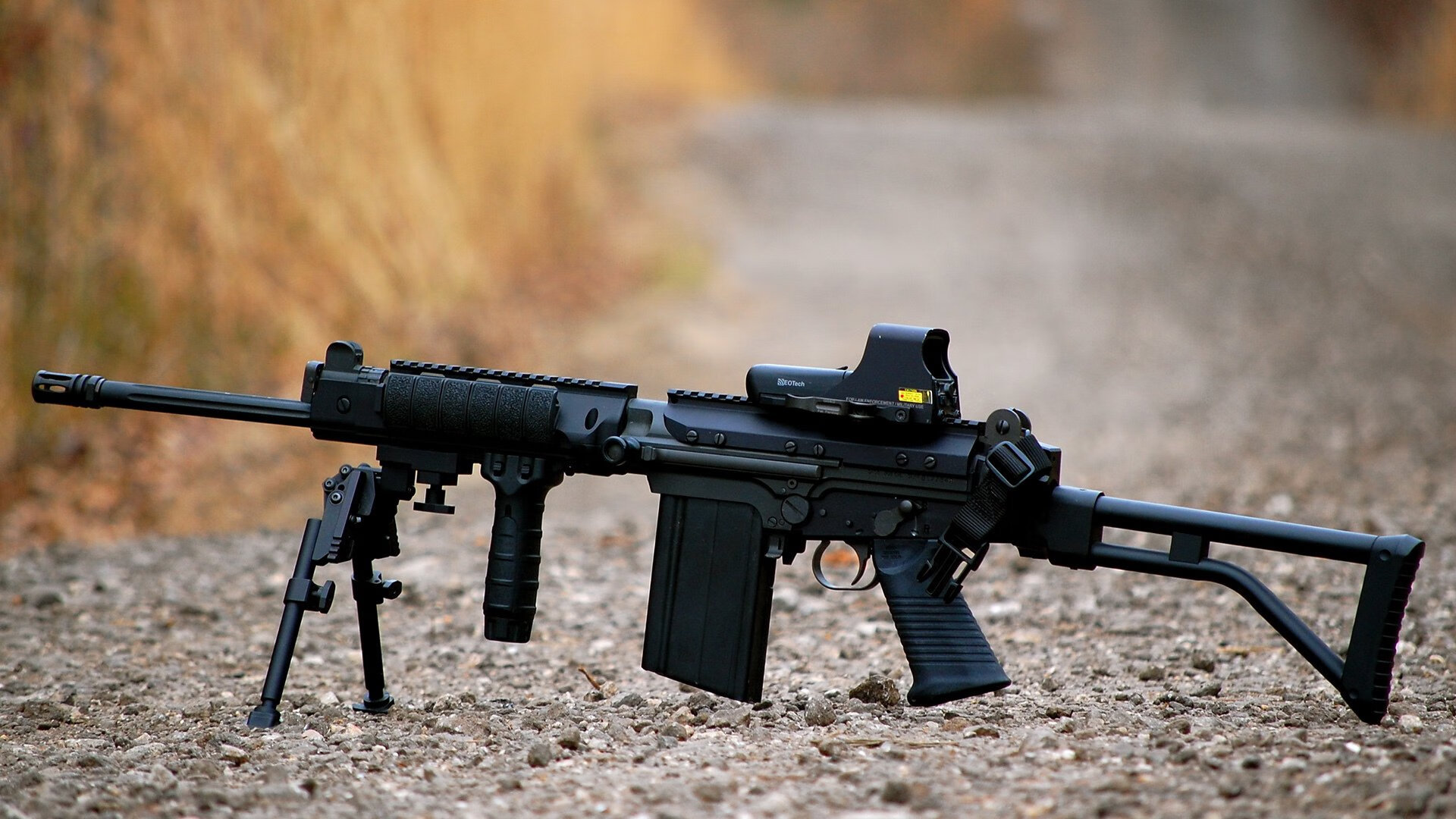 阿尔及利亚男篮在非洲预赛中奋勇争先，迈向更高目标，阿尔及利亚男足